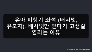 유아 비행기 좌석 (배시넷, 유모차), 배시넷만 믿다가 고생길 열리는 이유