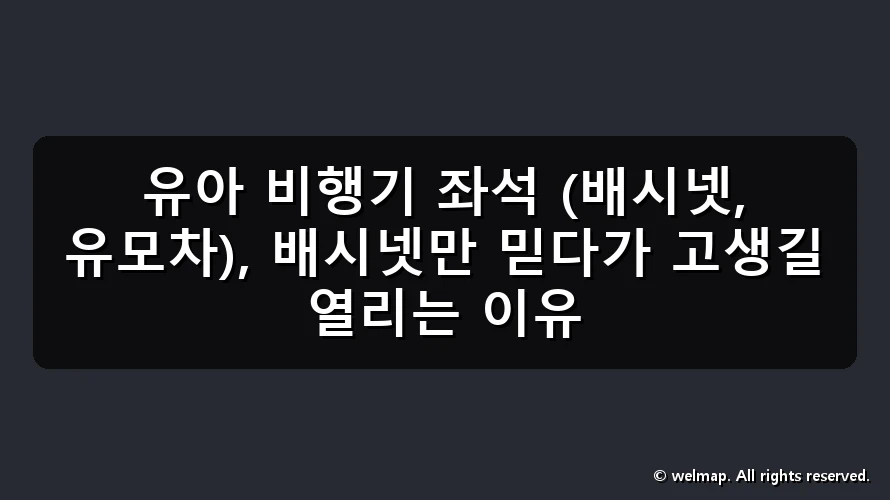 유아 비행기 좌석 (배시넷, 유모차), 배시넷만 믿다가 고생길 열리는 이유