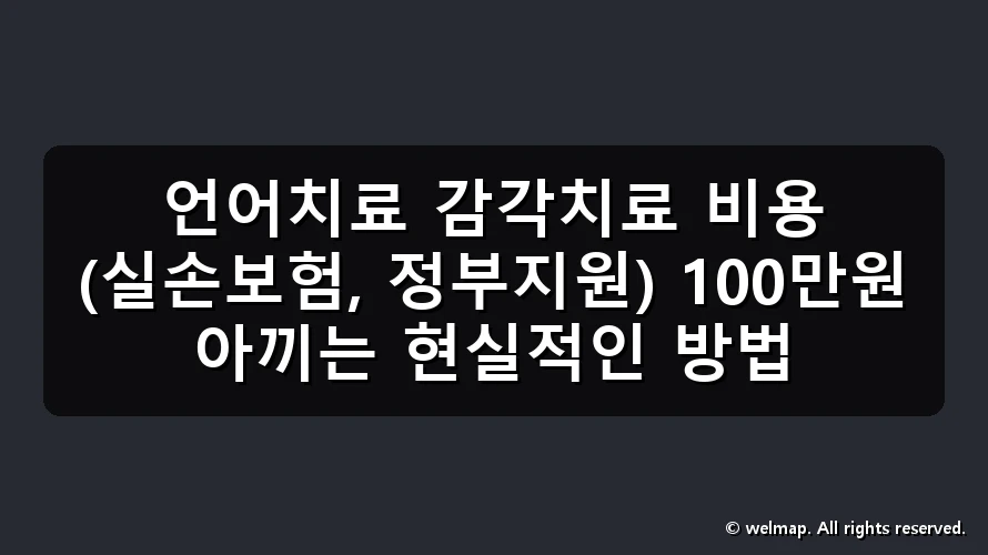 언어치료 감각치료 비용 (실손보험, 정부지원) 100만원 아끼는 현실적인 방법